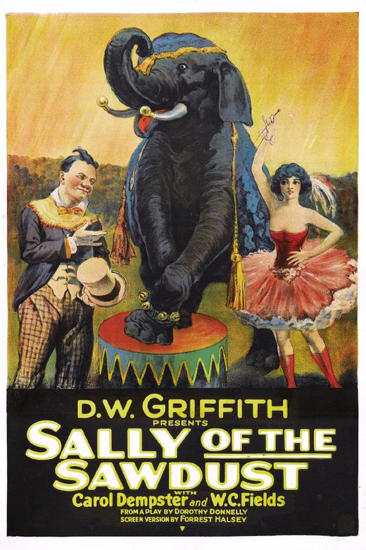 Sally of the Sawdust (1925) poster